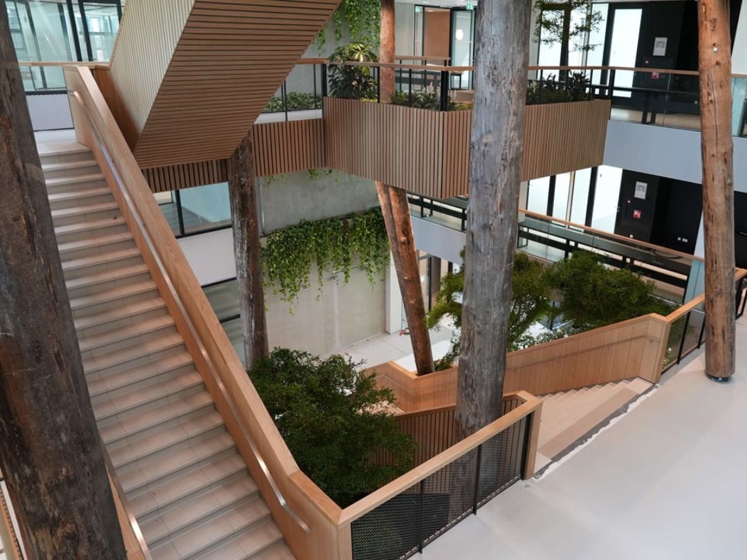 Ommantelde Profielen Bij Erasmus Universiteit In Rotterdam